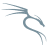 logo-Kali Linux