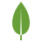 logo-MongoDB